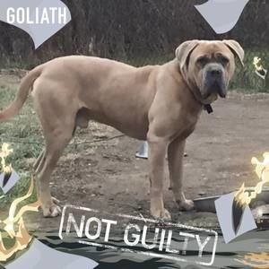 Meet your Posher, Darrin